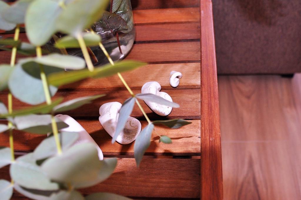 Apartamento En La Rambla Con Piscina سانتا كروز دي تينيريف المظهر الخارجي الصورة